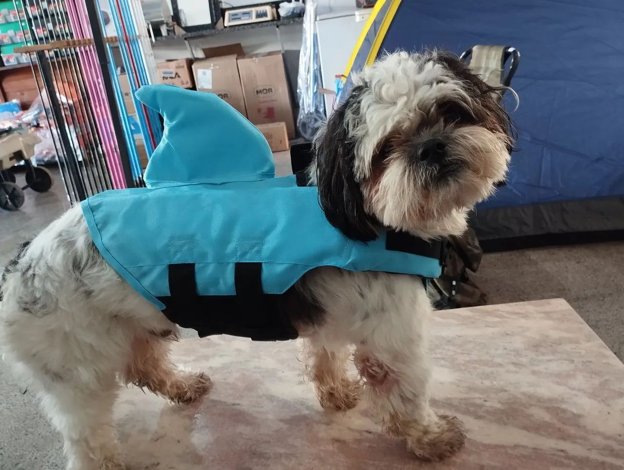 Colete salva-vidas para cachorro - Tamanho P