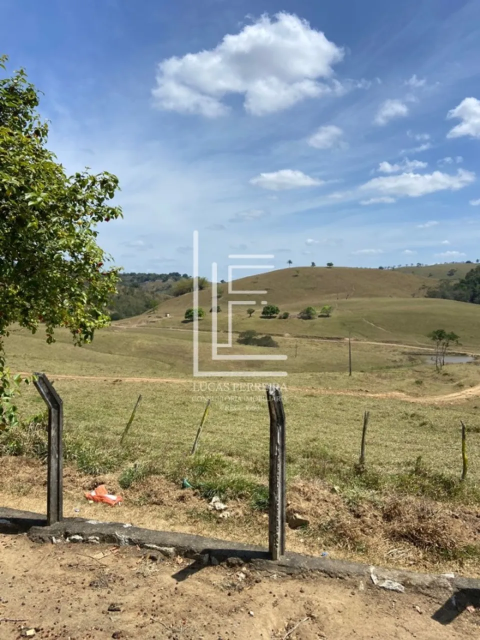 Ótima fazenda de 105 hectares de muito potencial em São José da Laje - AL