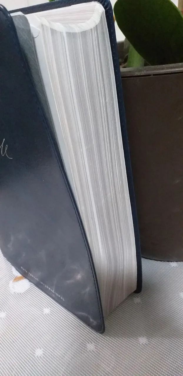 Bíblia de Estudo MacArthur Tradução NVI - Foto 2