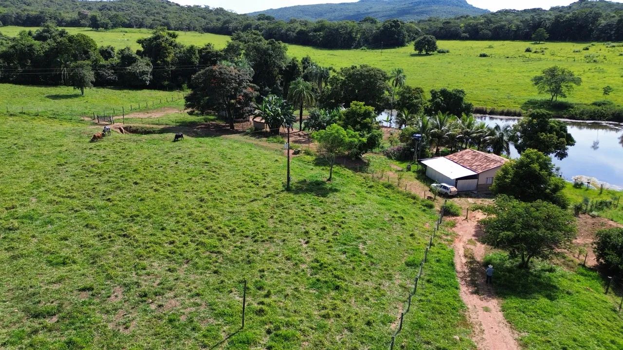 Vendo Sítio  - Foto 2