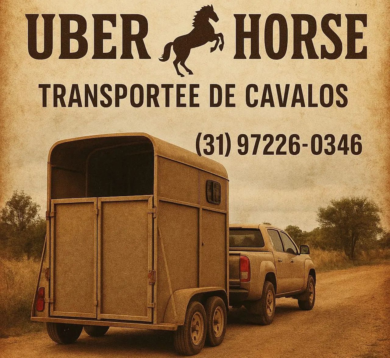 FRETE PARA CAVALO - BH E TODO BRASIL! 