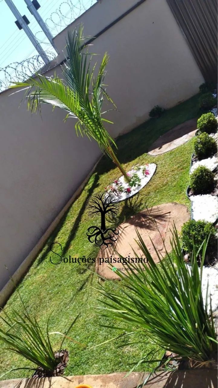 Jardim Vertical para seu Lar - Foto 2