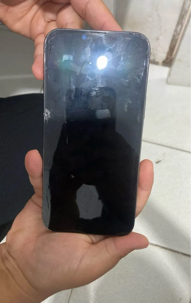 iPhone 13 Pro Max