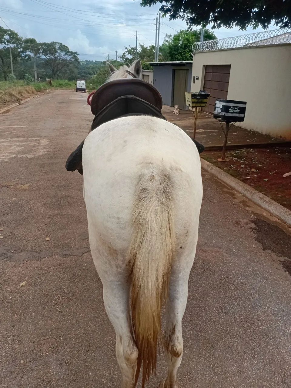 Manga larga marcha picada - Foto 3