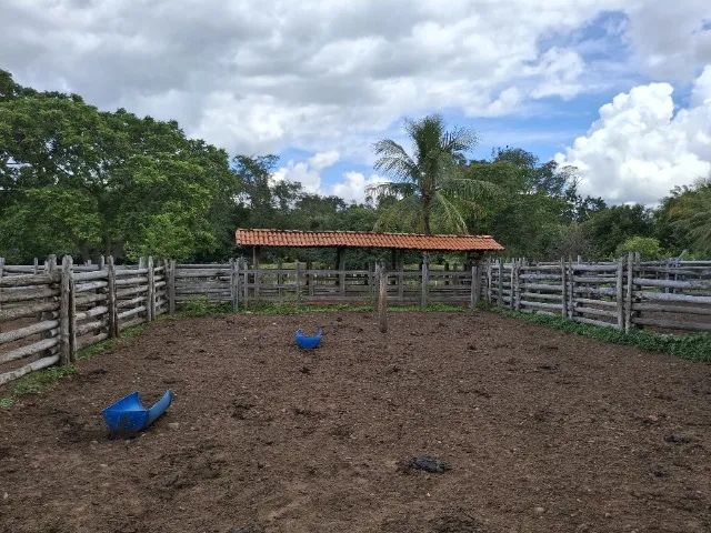 Fazenda a Venda - Foto 3
