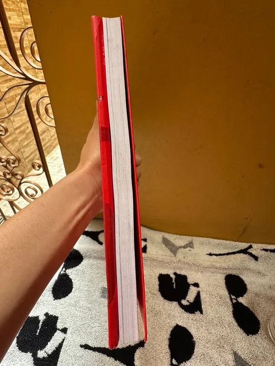 Livro Quem Ama, Educa - Içami Tiba - Foto 3