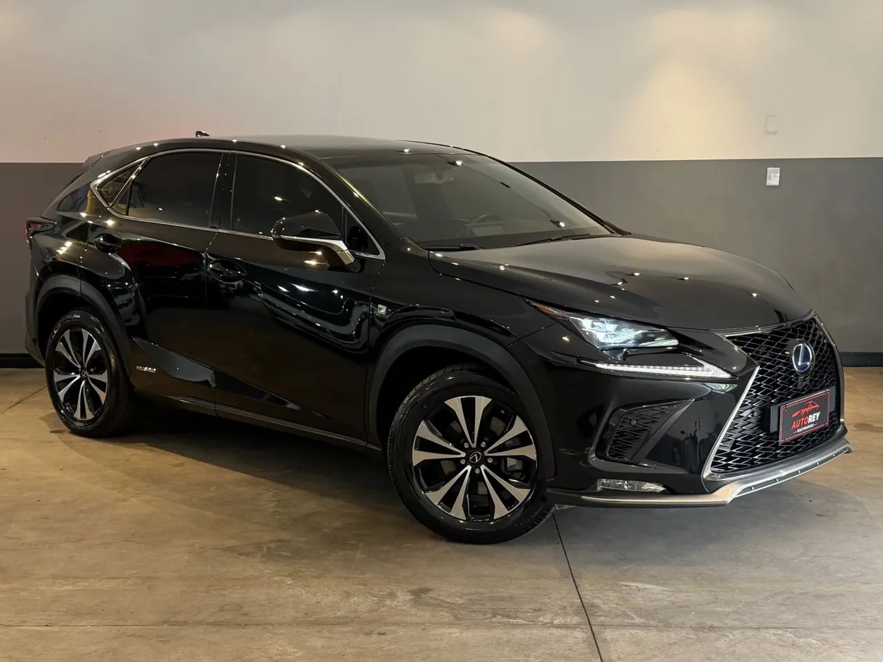 Lexus NX-300 H F-sport 2.5 16V Aut., foto 2 de 20