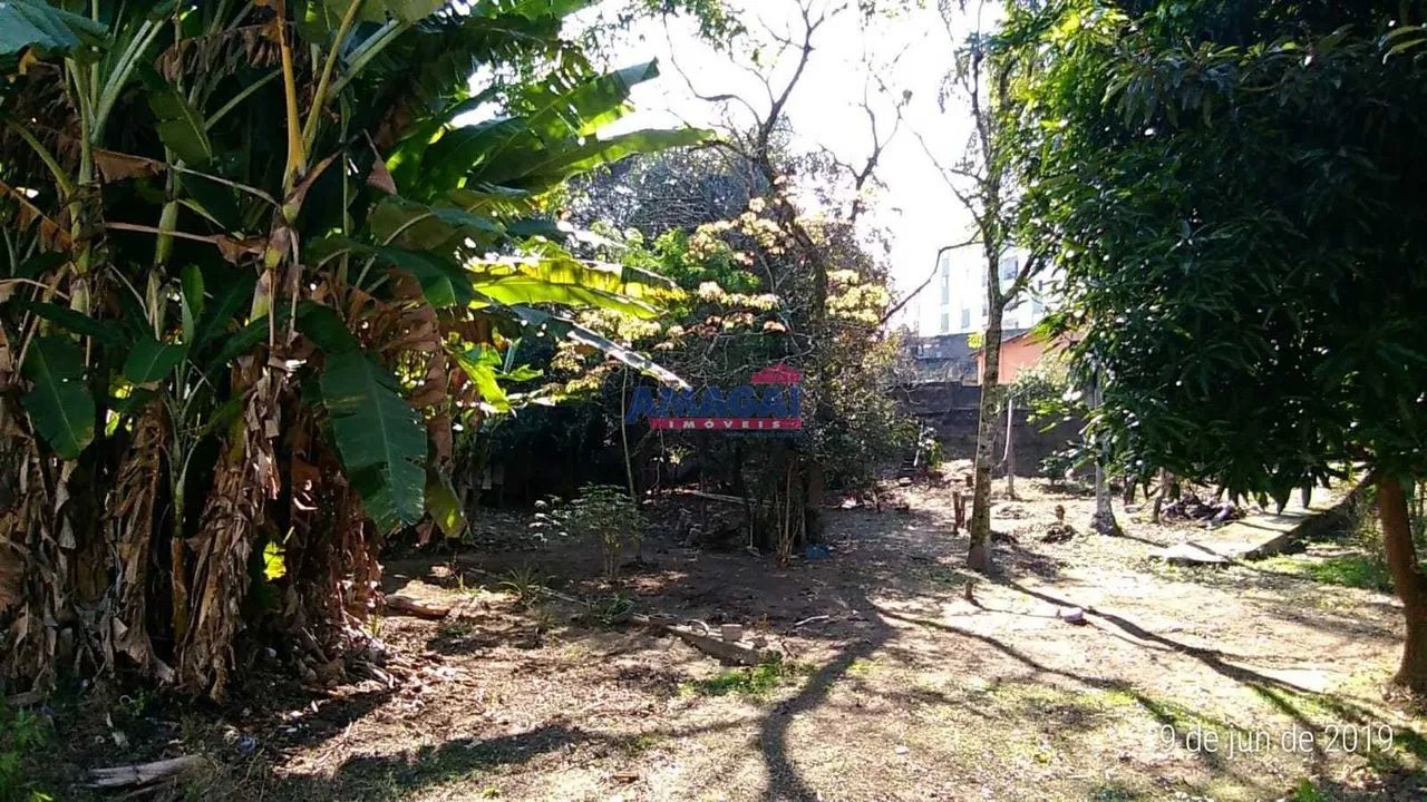 Terreno com 2.555 m2 de área - Foto 4