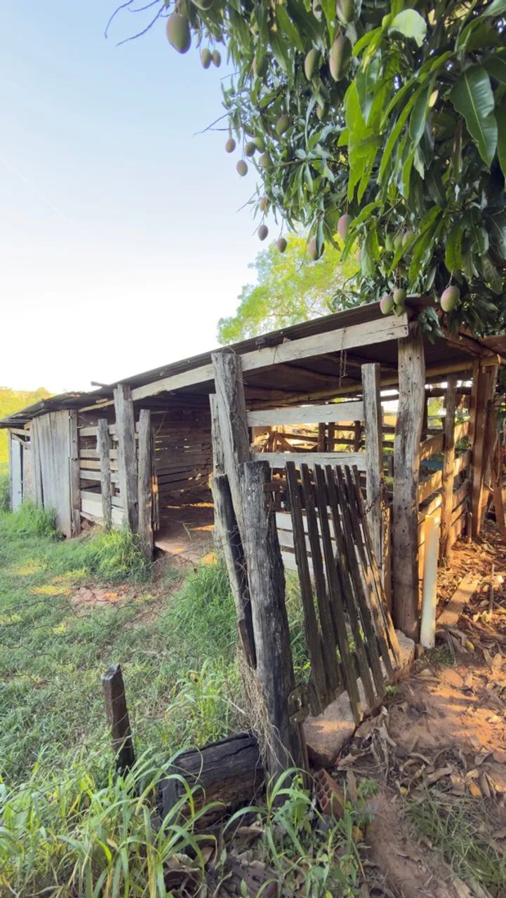 Venda  - Foto 2