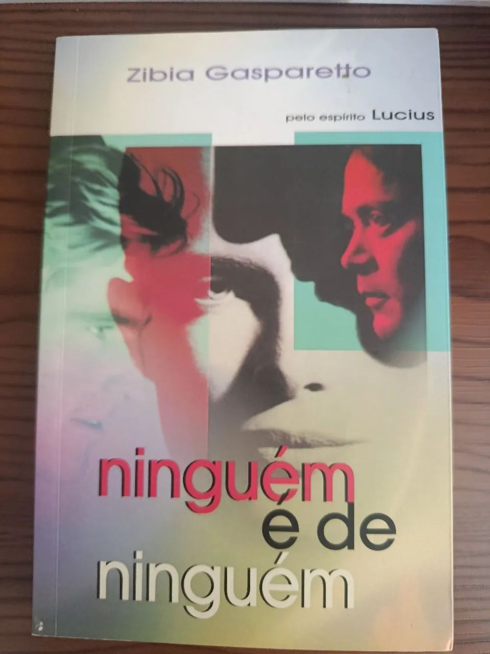 Livro Ninguém é de ninguém 