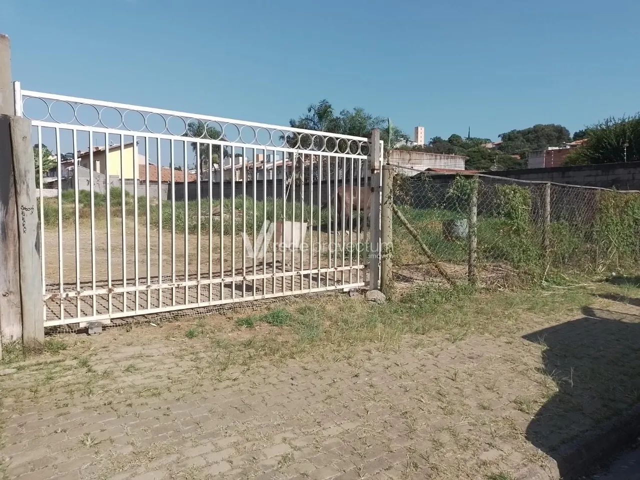 terreno - Jardim Conceição (Sousas) - Campinas - Foto 3