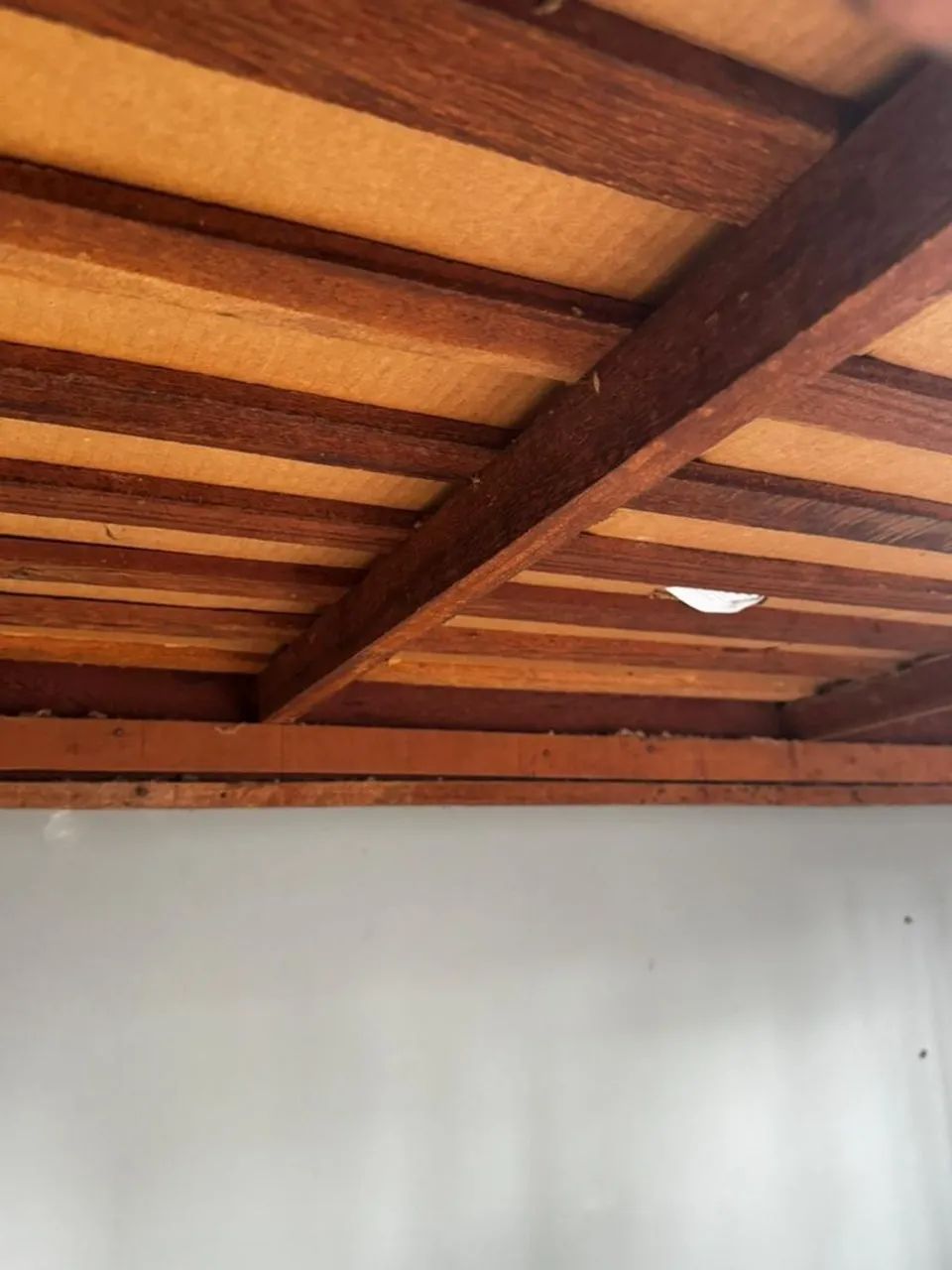 Beliche + 2 colchões usados grátis  - Foto 3
