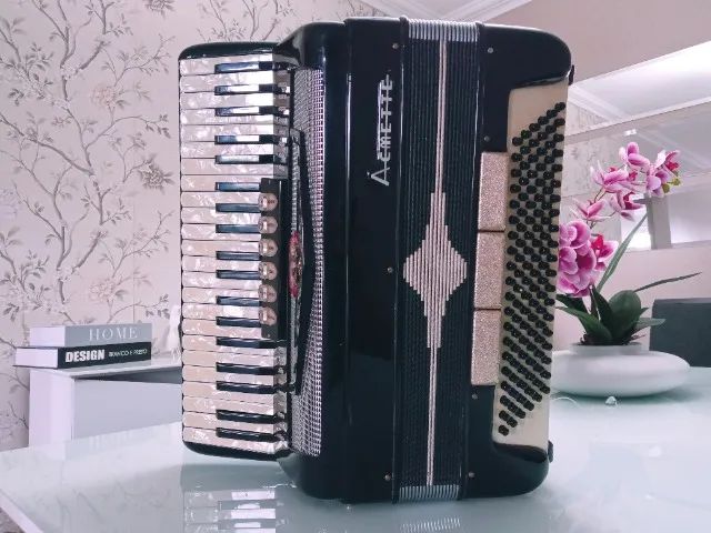 Acordeon Italiano Acmette 120 baixos