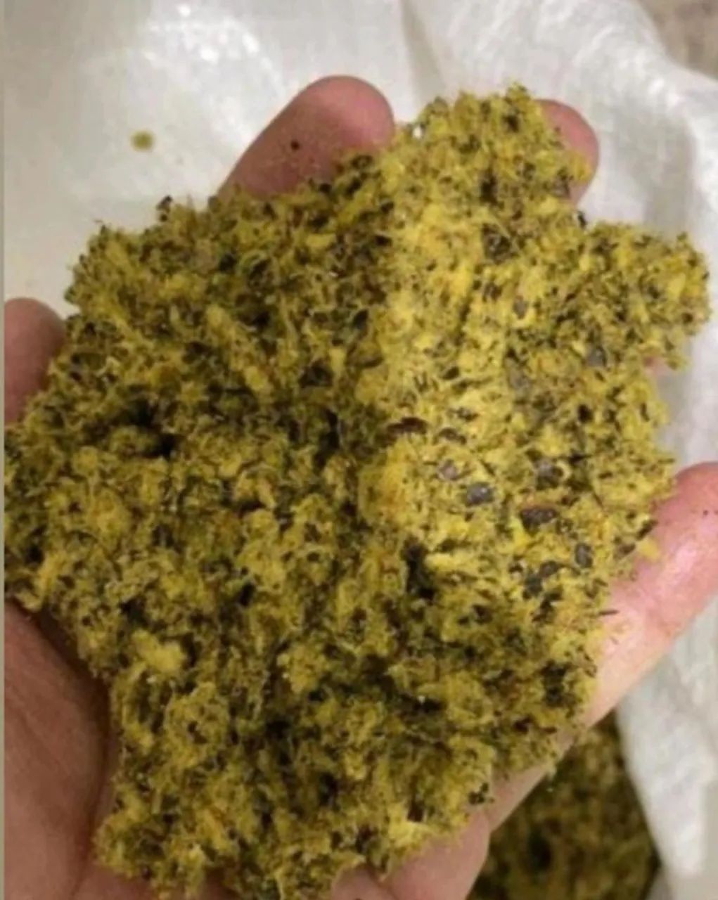 Milho ,Quirela de milho moído, Farelo de Soja direto da fazenda sem atravessadores - Foto 4