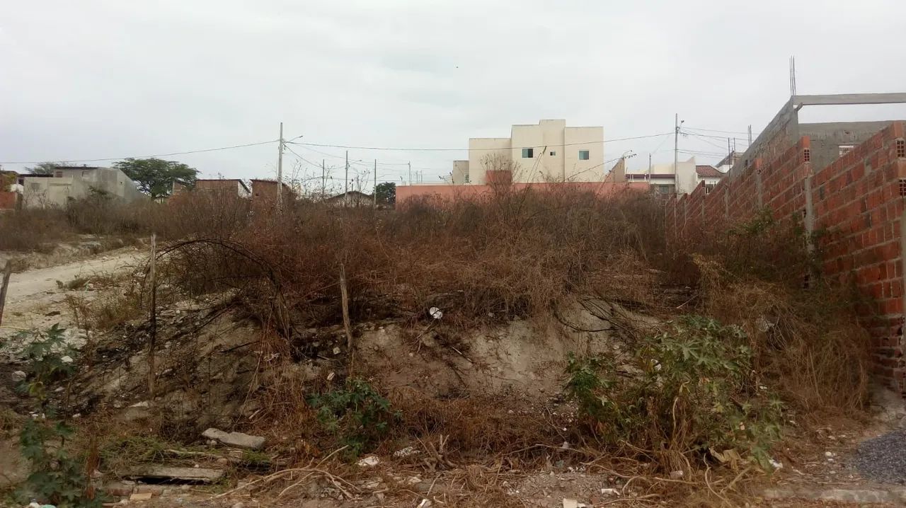 Ótimo Terreno no Alto Branco