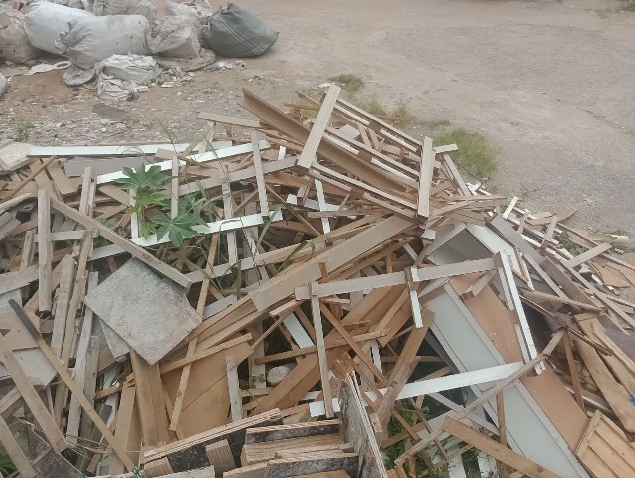 DOA-SE LENHA445639094520391683