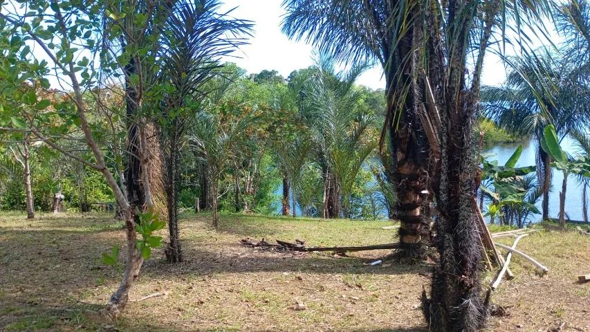 SITIO NA COMUNIDADE JERUSALEM - RIO NEGRO - MIPINDIAU - Foto 5