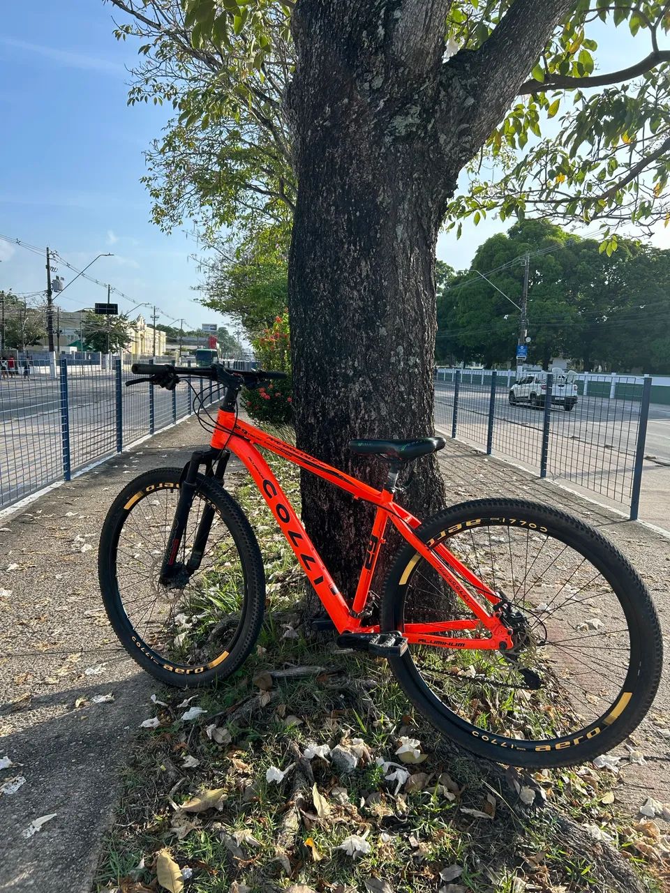 Bicicleta aro 29 COLLI