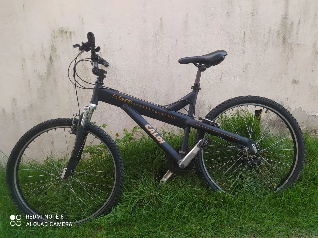 Bicicleta caloi