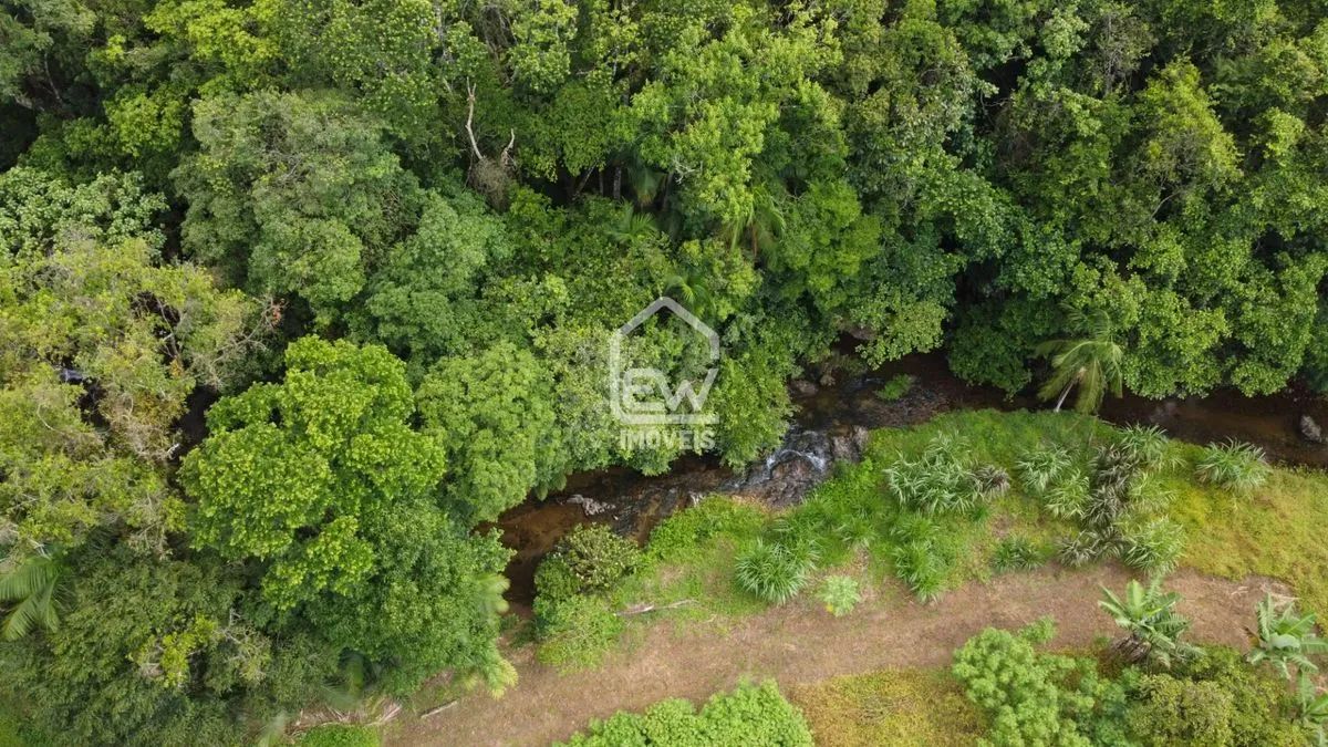 Chácara com Área Total de 21.700m² em Schroeder, SC - Foto 4