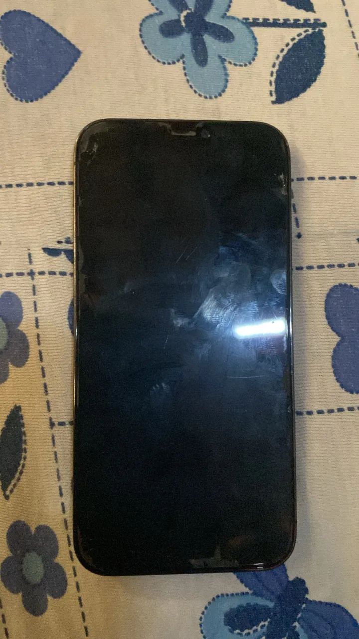 IPHONE 12 PRO