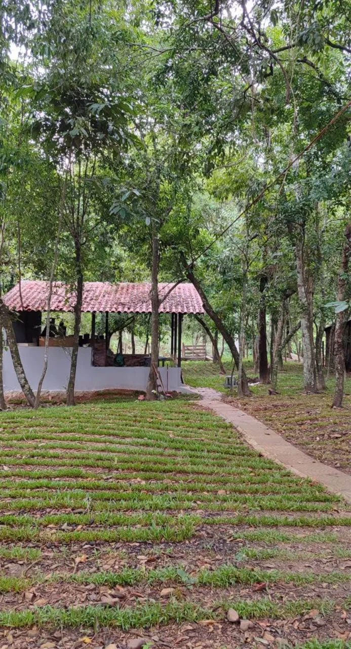 _ Chácara a venda em Piapitangui  - Foto 3