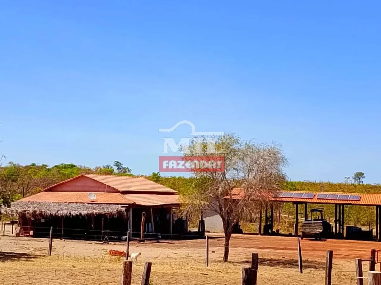 Arrendamento para lavoura 570 hectares - Guaraí-TO