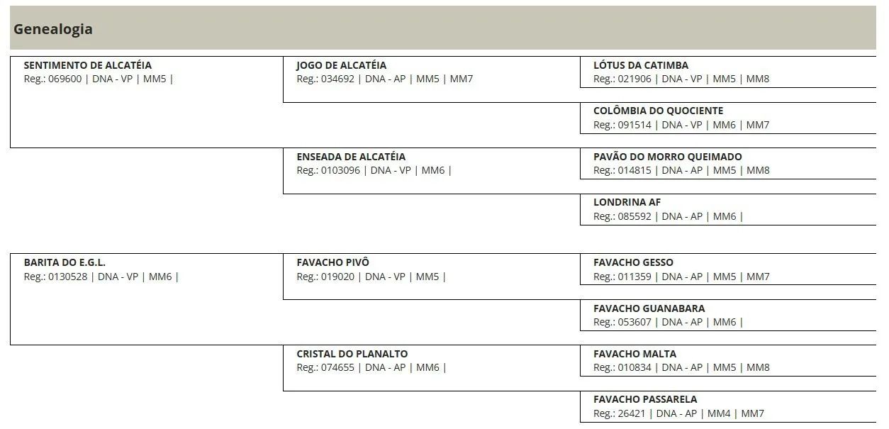 Potro Magalarga Marchador - Foto 4