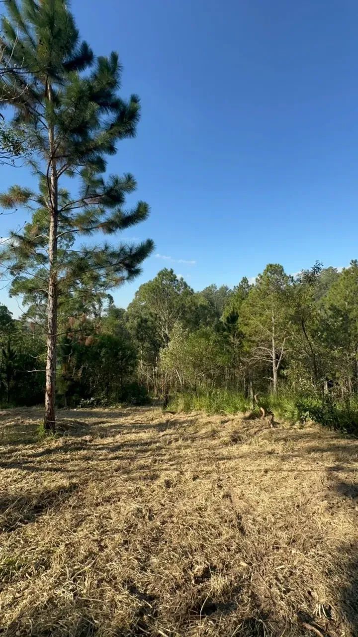 1.000m² em Mairinque | Viva Cercado Pela Natureza - Foto 4