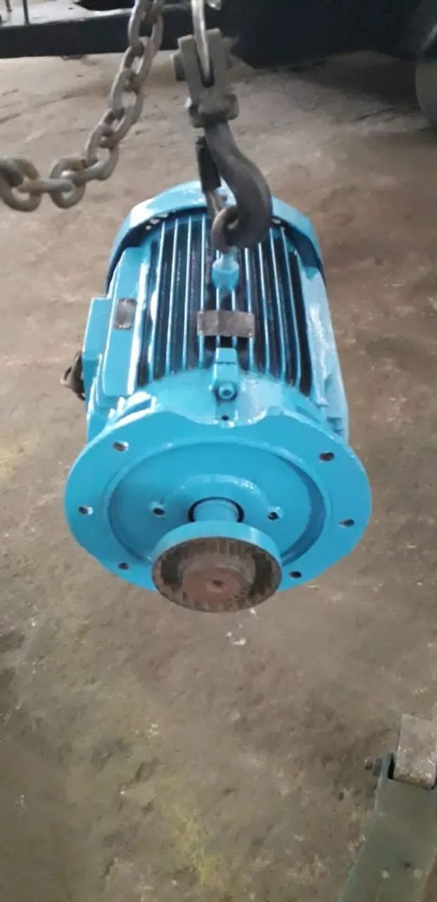 Motor Weg 60cv - Foto 2