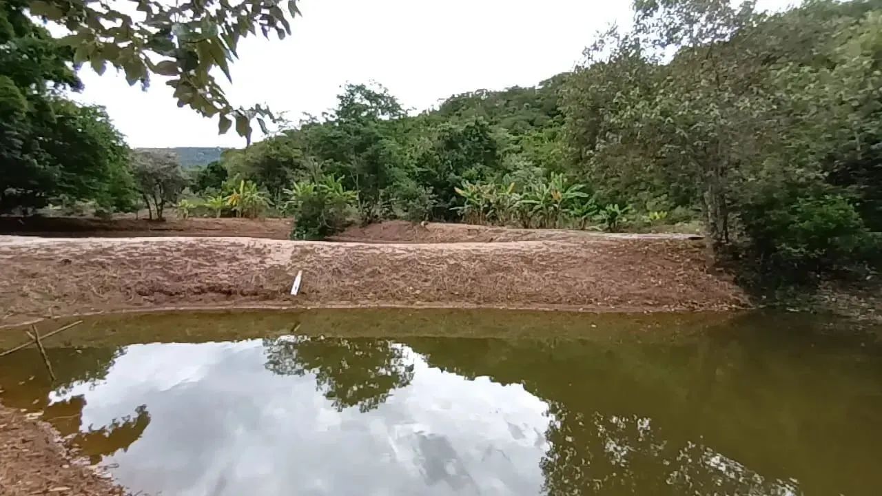 Fazenda/Sítio/Chácara para venda possui 170 metros quadrados com 3 quartos - Foto 8