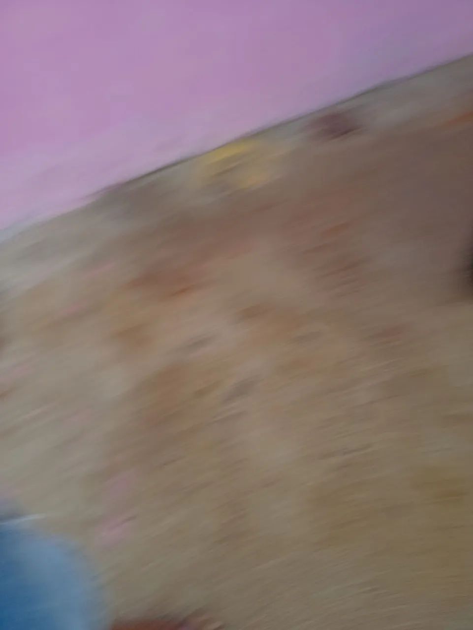 Charcara boa  - Foto 4