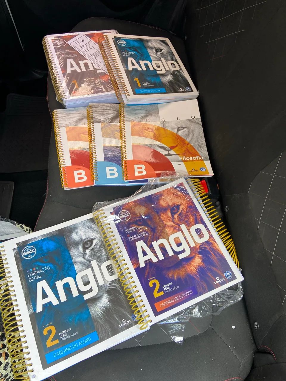 Livros Novos Anglo Ensino médio  - Foto 6