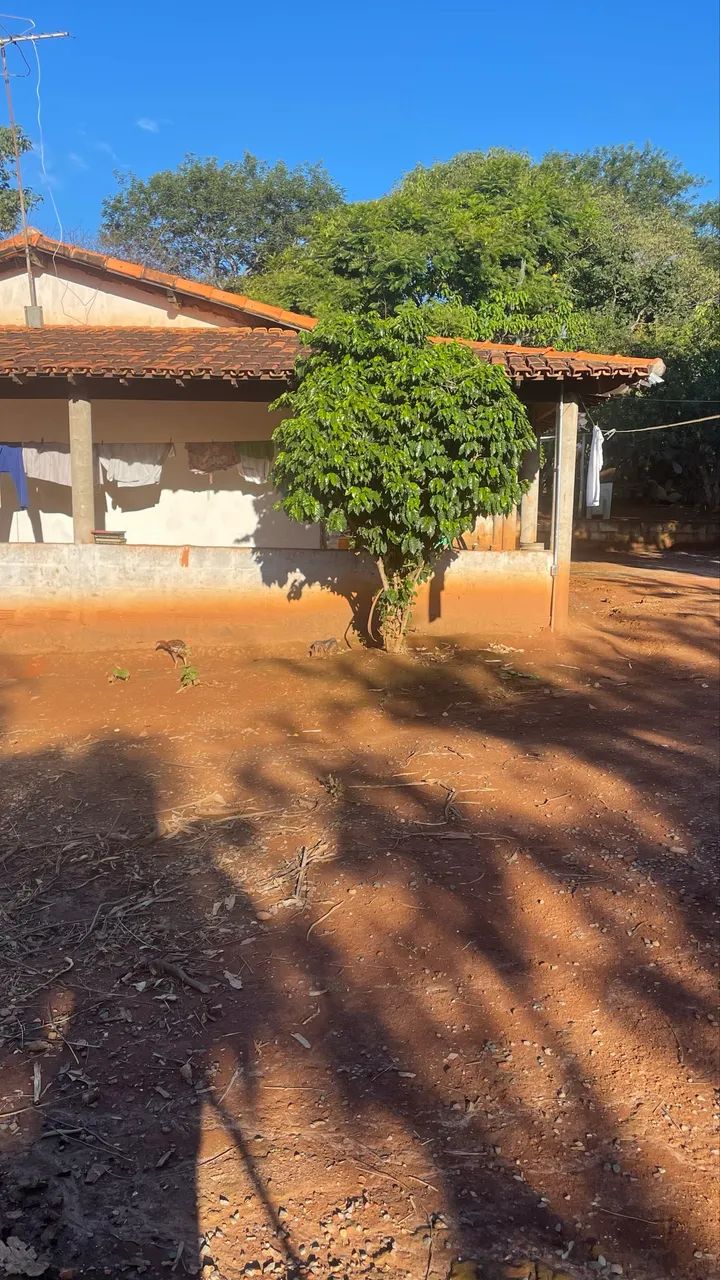 Chácara  - Foto 5