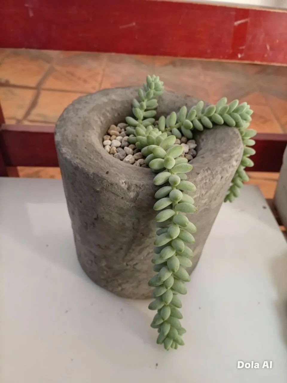 Vaso de plantas  - Foto 4