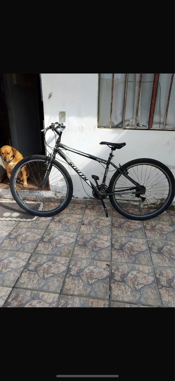 Bicicleta