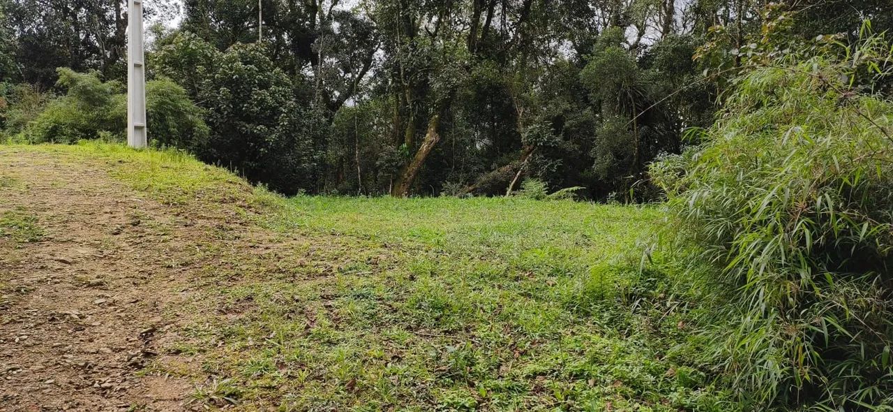 Oportunidade única -   Vende -se Sítio  - Foto 3