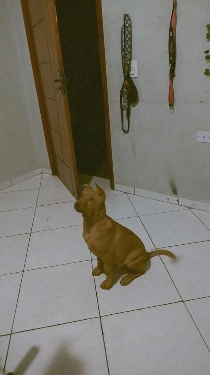 Doação  - Foto 3