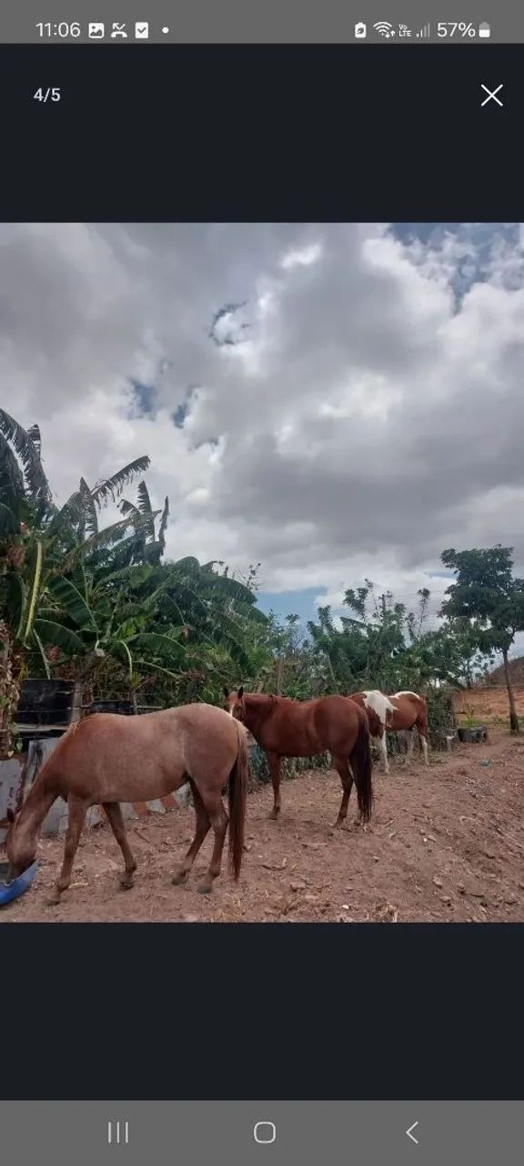 Eguas 
