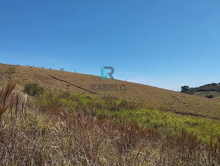 CHÁCARA SEM BENFEITORIAS E FÁCIL ACESSO EM CUNHA-SP - Foto 4