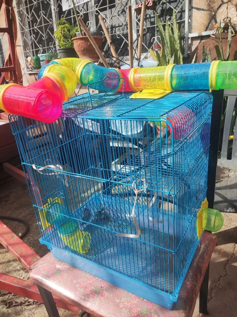 Gaiola hamster  - Foto 2