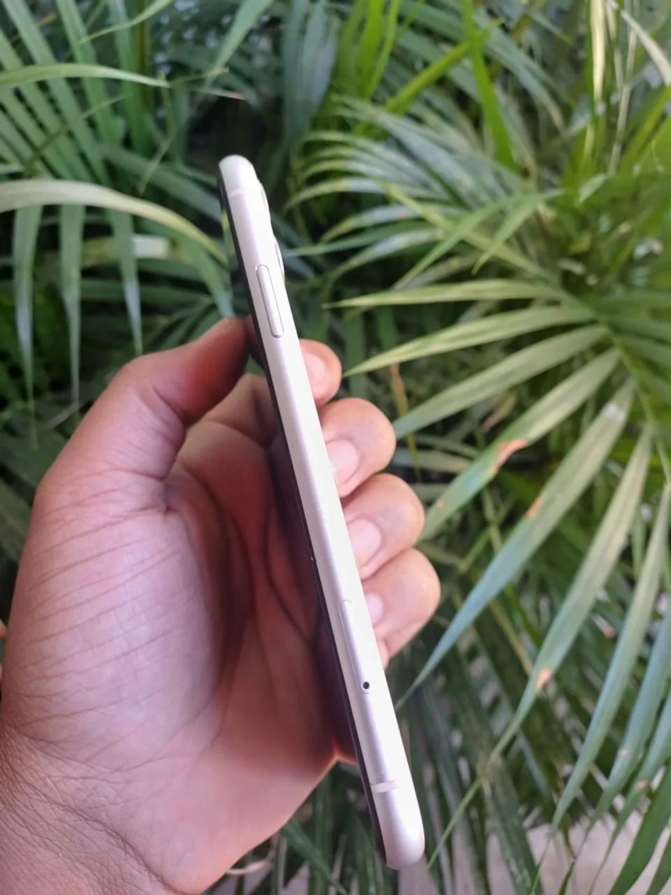 iPhone 11 64GB (Bem Conservado) - Foto 3