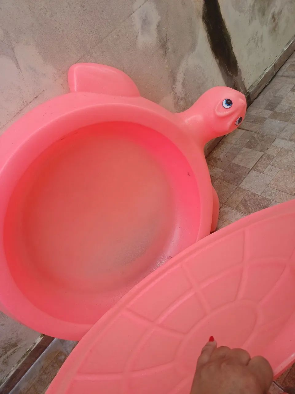 Piscina tartaruga 
