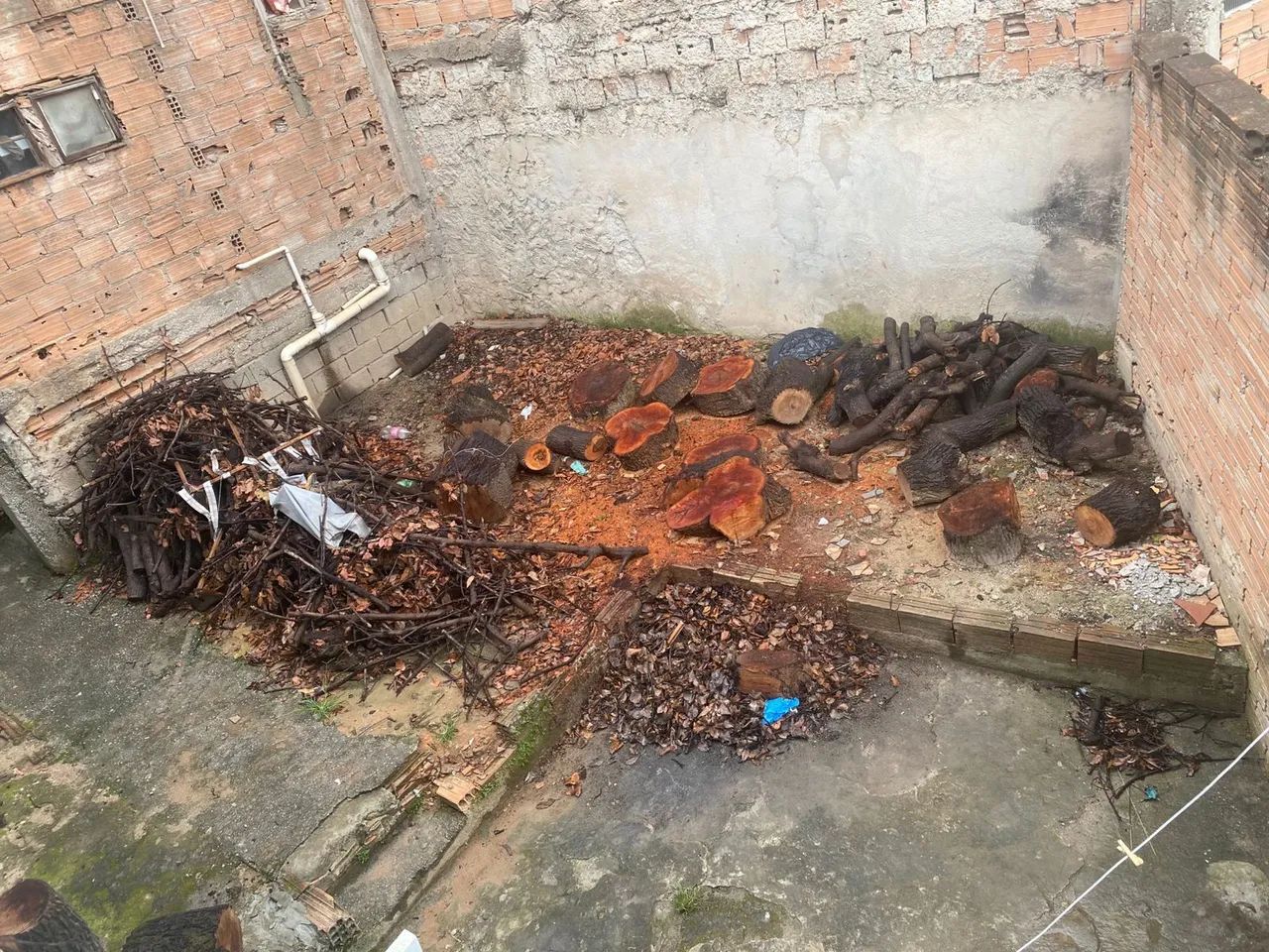 Lenha para retirada  - Foto 3