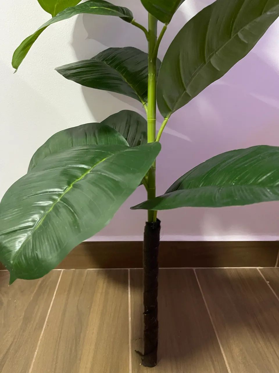 Ficus Lyrata / Planta Artificial  - Foto 3