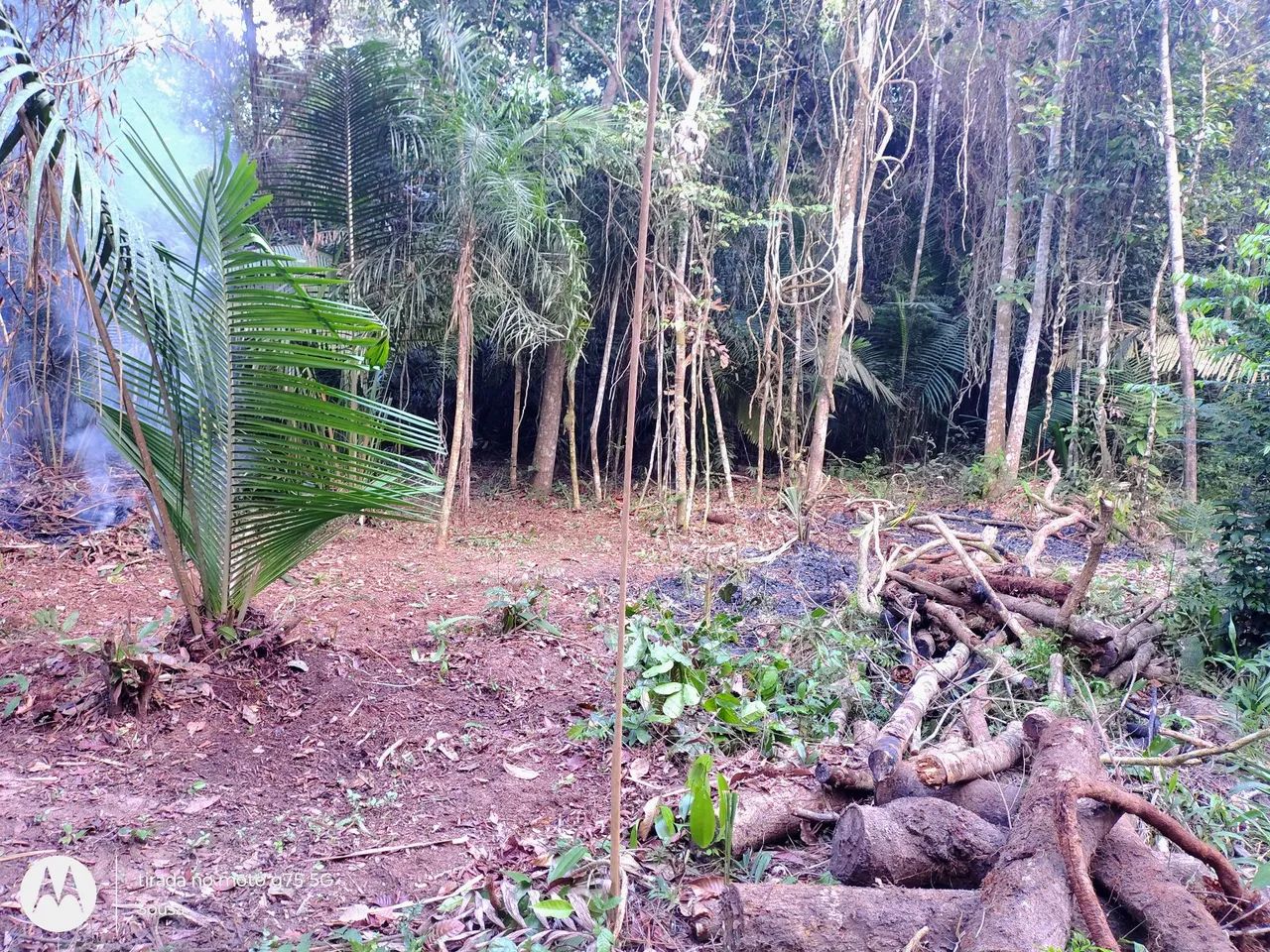 Terreno em alter do chao - Foto 2