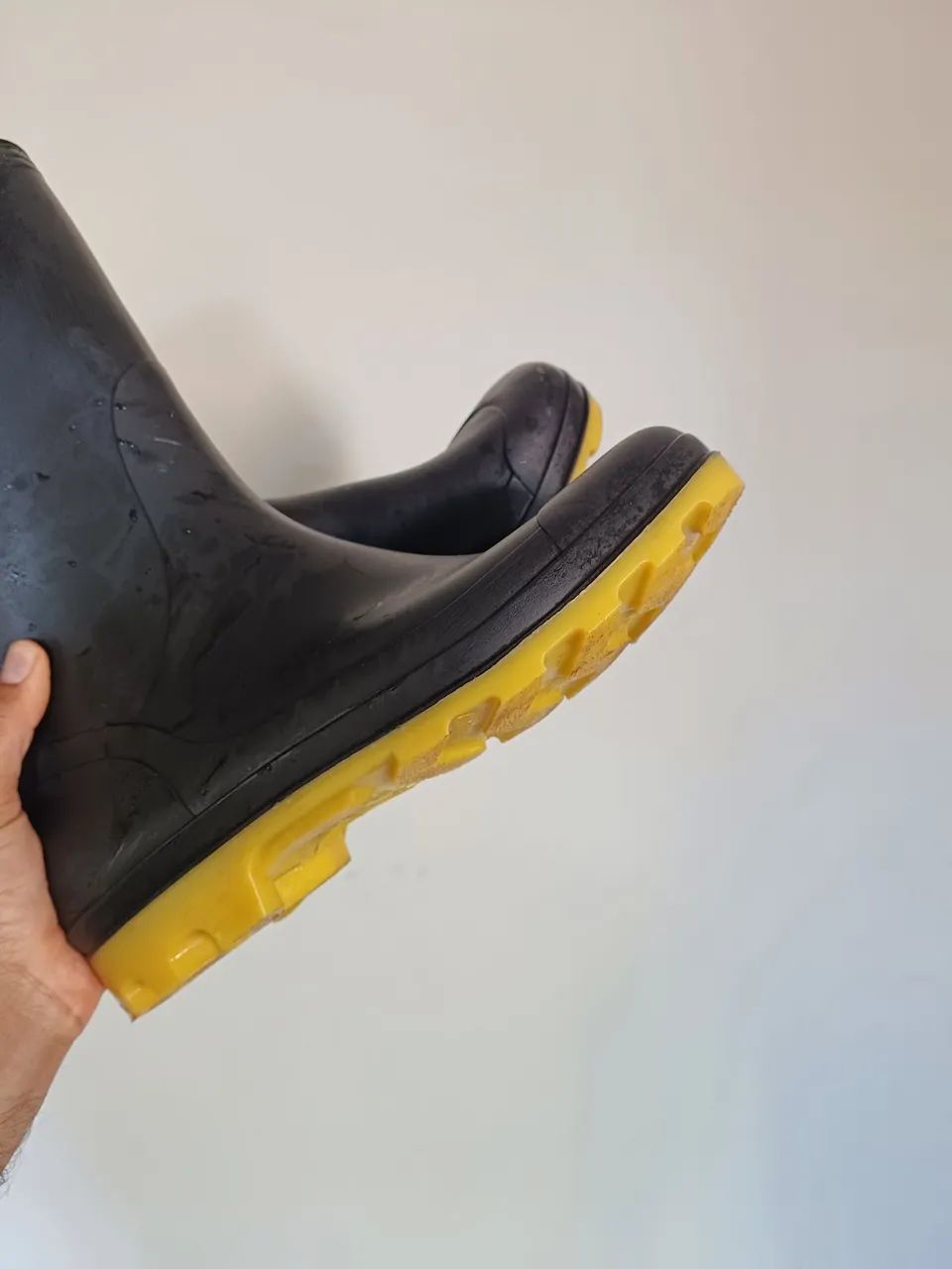 Bota nova