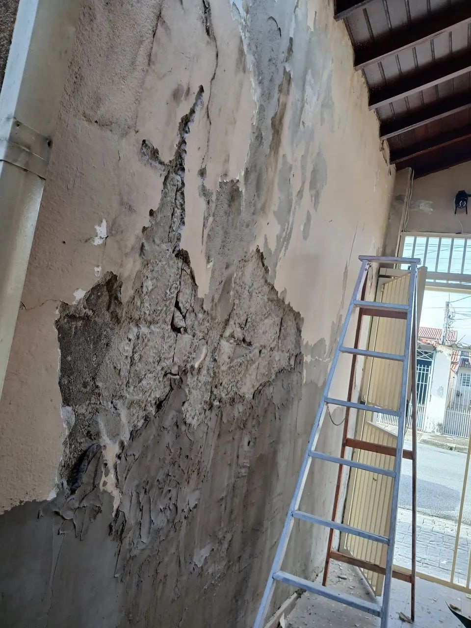 Pintor profissional 