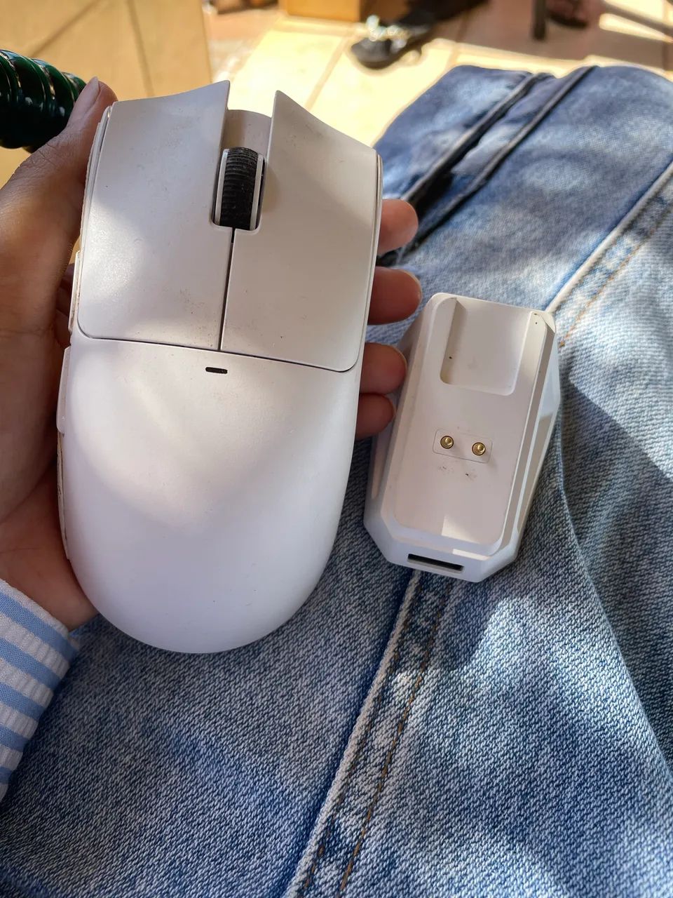 mouse