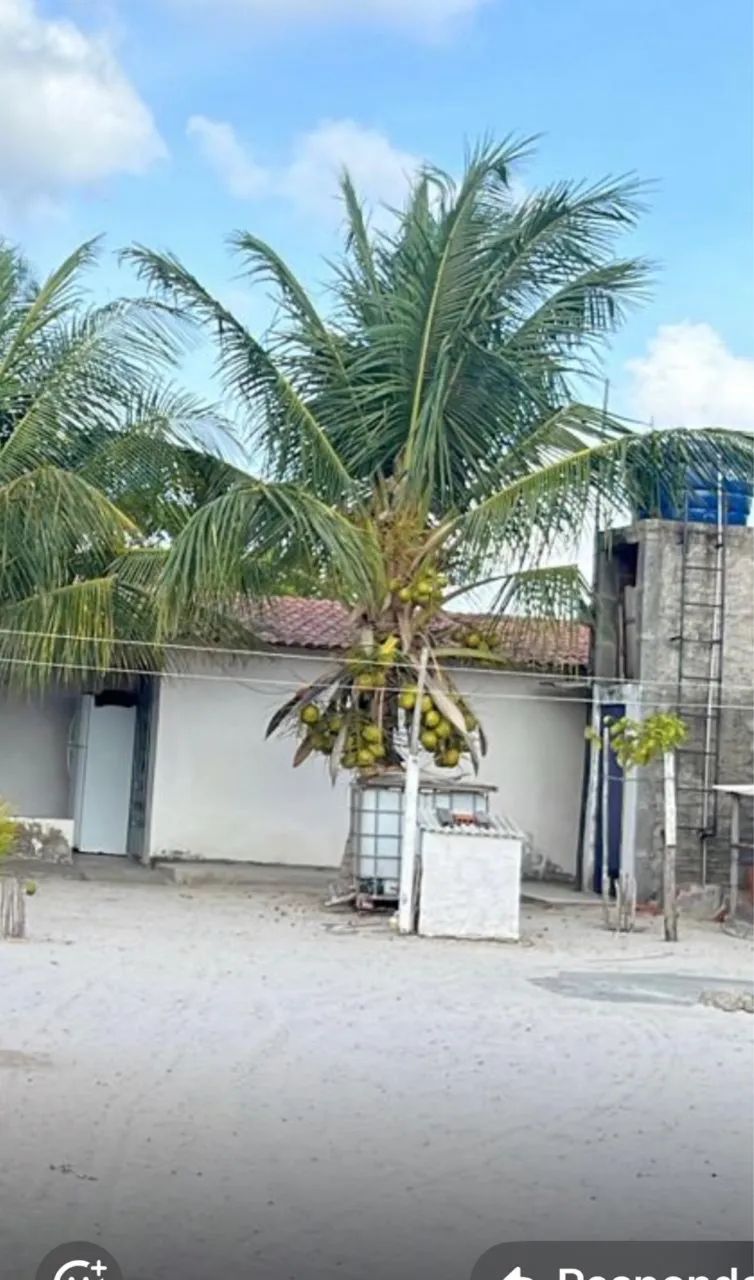 Casa em Paracuru  - Foto 3